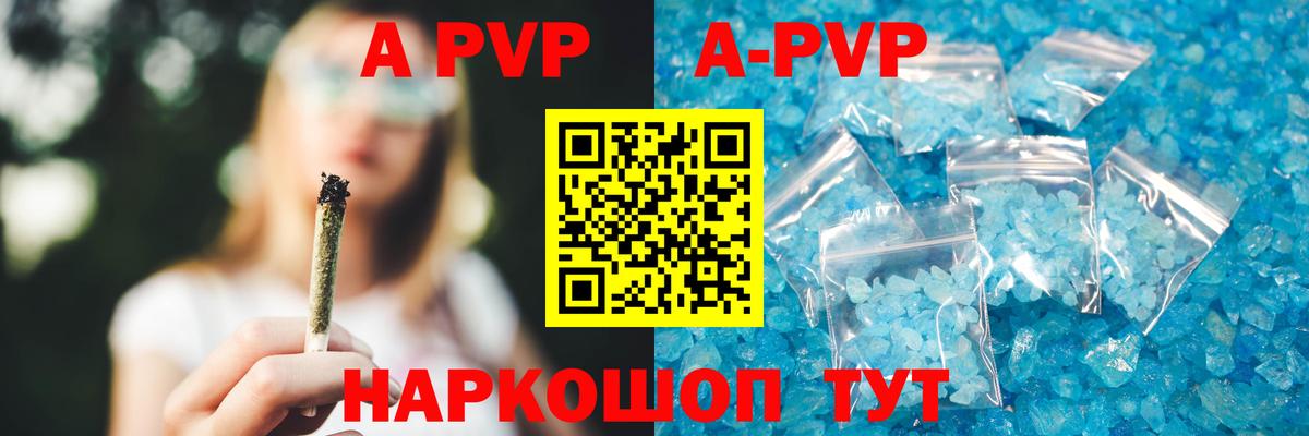 A PVP СК Сунжа