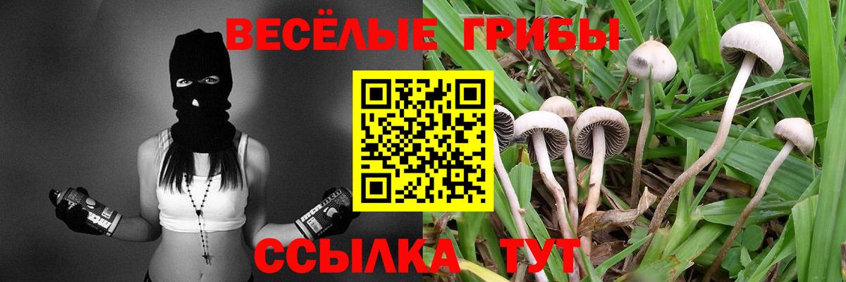 Псилоцибиновые грибы Magic Shrooms  Вход с VPN  Сунжа  Галлюциногенные грибы прущие грибы 